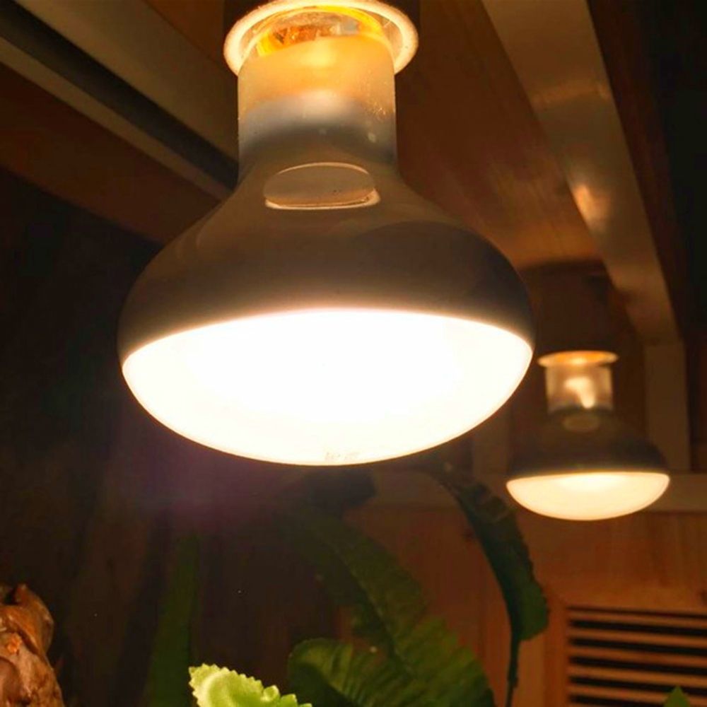 両生類用ヒーターランプ UVAライト 日光浴ライト 爬虫類用 - Basking Bulb Halogen のレビューと価格