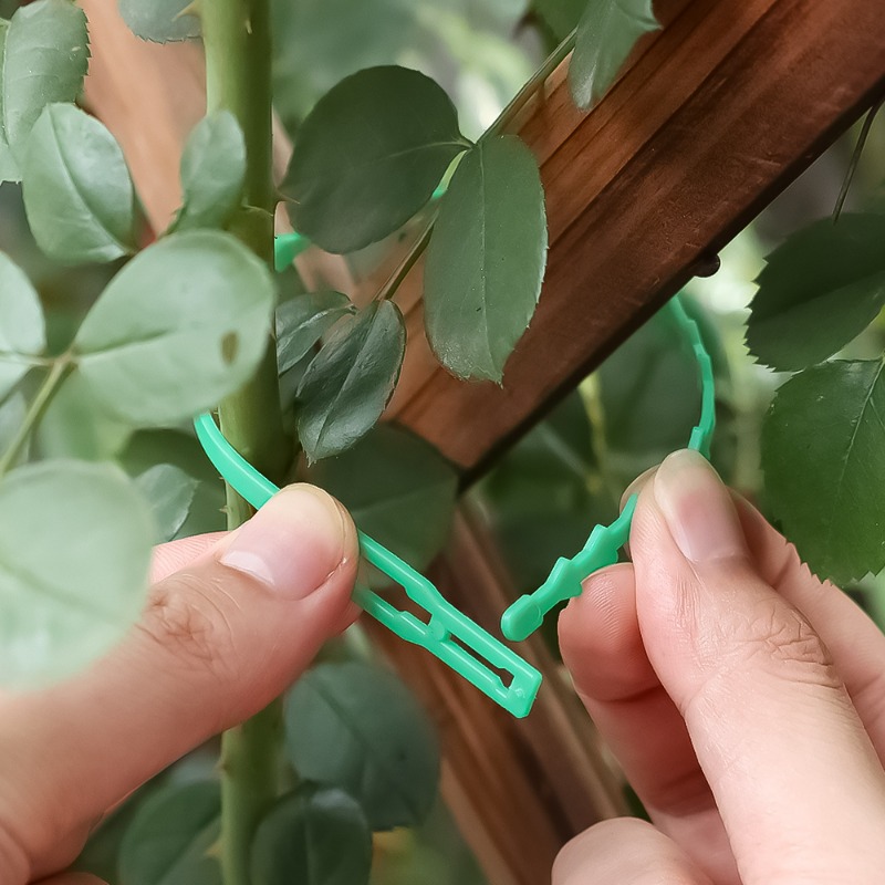 再利用可能な植物固定用ジップタイ、調整可能なセルフロックタイ - Vine Climbing Plastic のレビューと価格