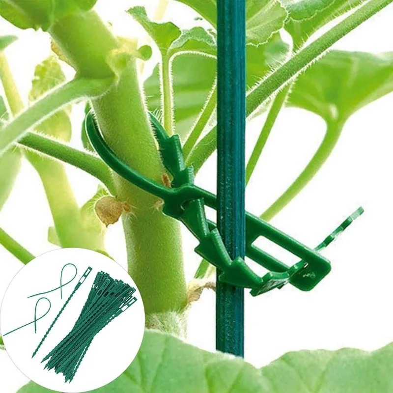 再利用可能な植物固定用ジップタイ、調整可能なセルフロックタイ - Vine Climbing Plastic のレビューと価格