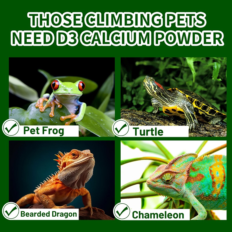 爬虫類、両生類、カメ、カエル、カメレオンなどのペット用ビタミ - Calcium Powder Reptile のレビューと価格