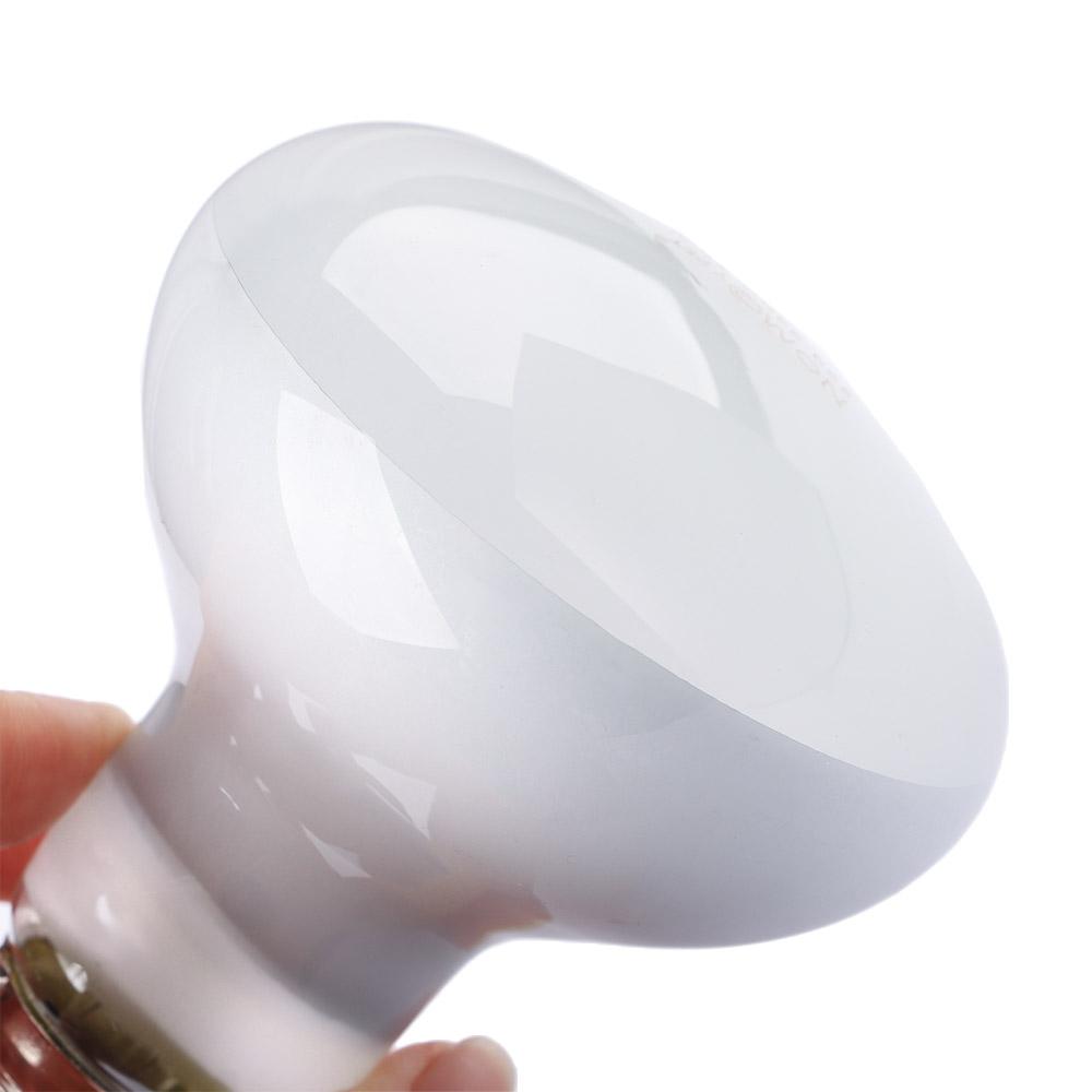 カメ用ヒーター温度調節器 バスキングライト ハロゲン電球 爬 - Basking Bulb Halogen のレビューと価格