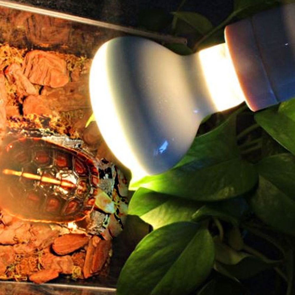 カメ用ヒーター温度調節器 爬虫類用UVAライト ハロゲン電球 - Basking Bulb Halogen のレビューと価格