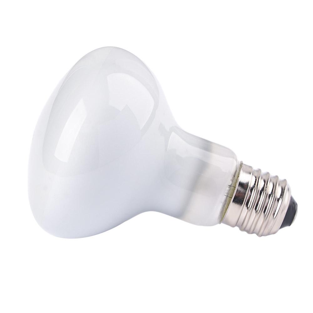カメ用温度調節器ヒーター UVAライト 爬虫類用ハロゲン電球 - Basking Bulb Halogen のレビューと価格