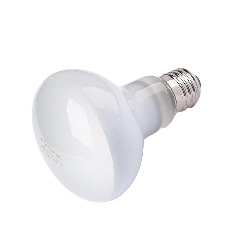 両生類用ヒートランプ温度調節器、爬虫類用日光浴ライト、ハロゲ - Basking Bulb Halogen のレビューと価格