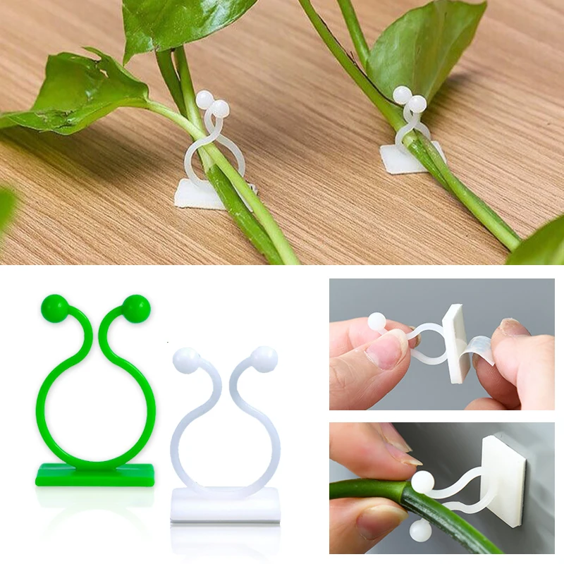 植物の壁登り用自己粘着式固定バックルフック、締め付け式固定具 - Vine Climbing Plastic のレビューと価格